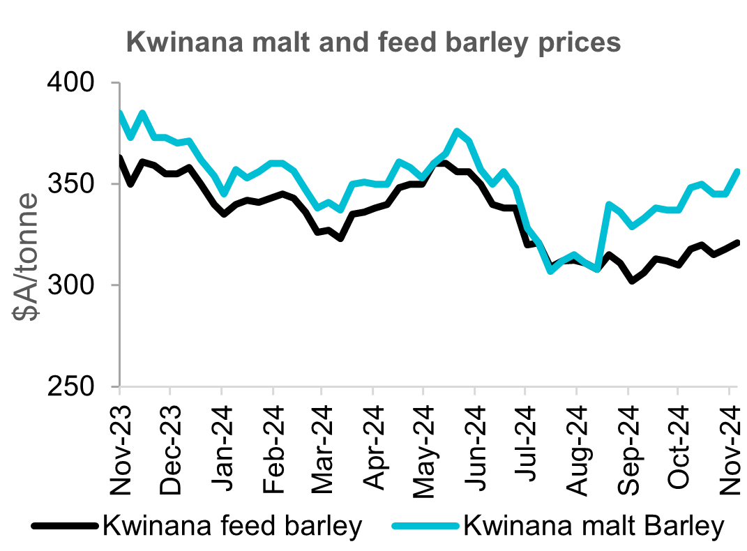 A chart showing historical prices for West Australian malt and feed barley prices.
Feed barley prices were flat to slightly higher over October. Some emerging export interest, however merchants have had no trouble filling requirements and have not had to push bids up. Malt premiums continue to firm and currently range from $20 to $35 per tonne across port zones.