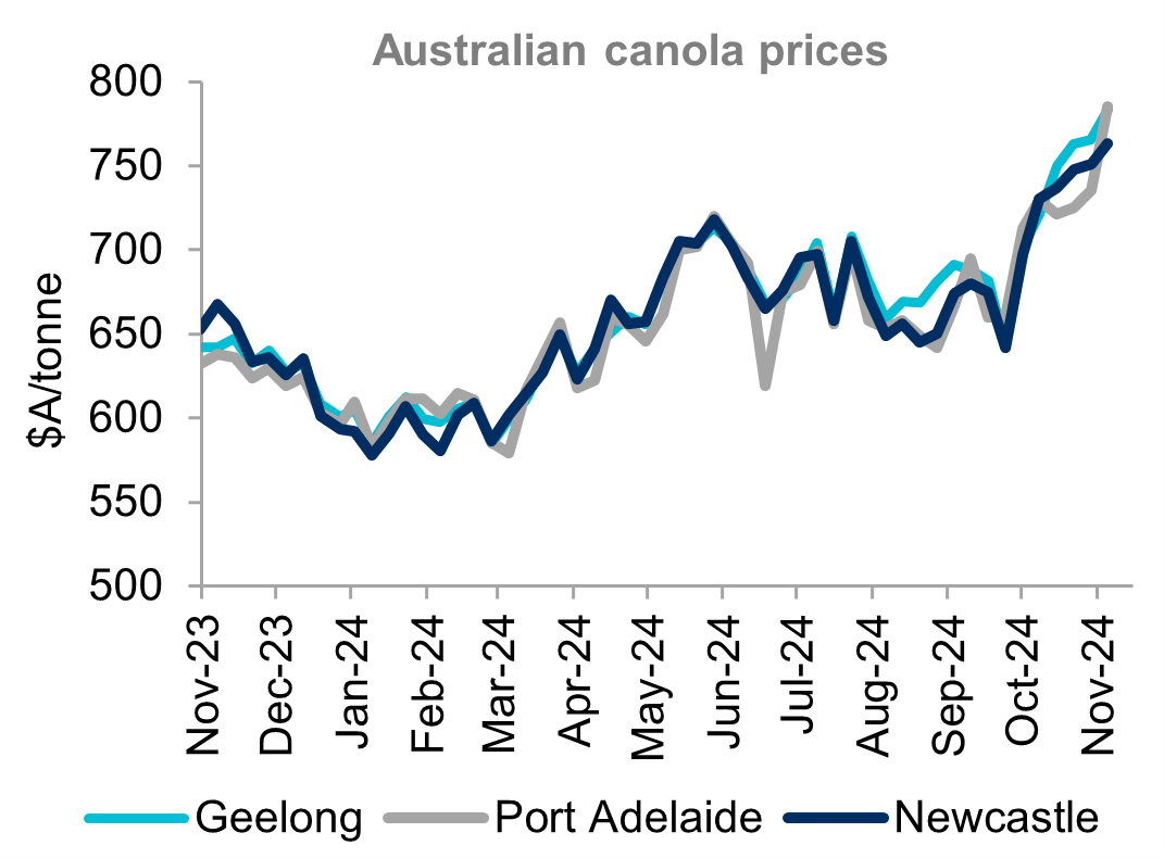 A chart showing historical prices for Australian canola. Canola prices remain the standout rising by around 10 per cent over the month to reach decile 9 levels. Strong export demand from the EU supporting prices.